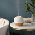 1000ML Aroma Diffuser